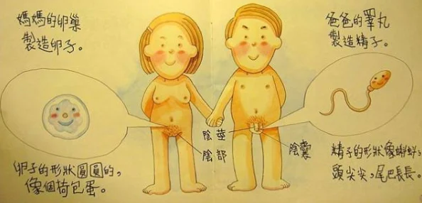 男生鸡鸡插女生屁股尺度升级画面更露骨时长达十分钟