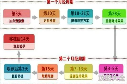 2024热门！女性一小时人生：高效传宗接代策略，生娃前必备准备指南