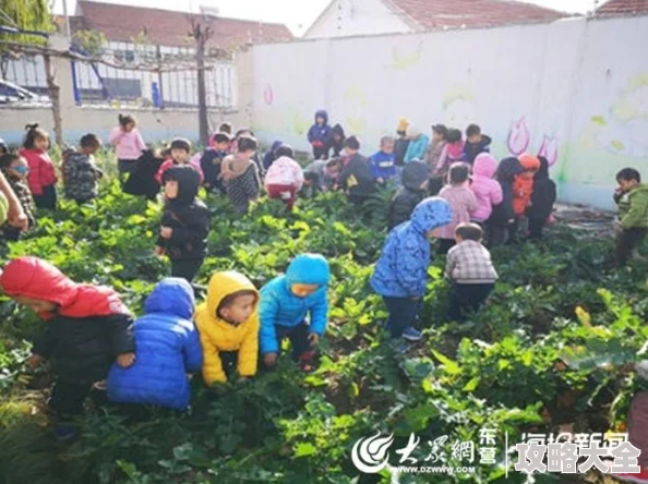 老师脱让学生摸拔萝卜活动因故暂停等待进一步通知