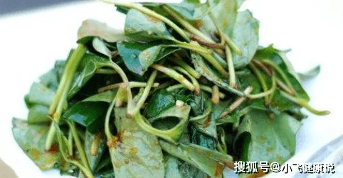 不休的乌拉拉秘制荷叶肉新潮流做法：精选肉块搭配时令野菜，解锁夏日热门美食