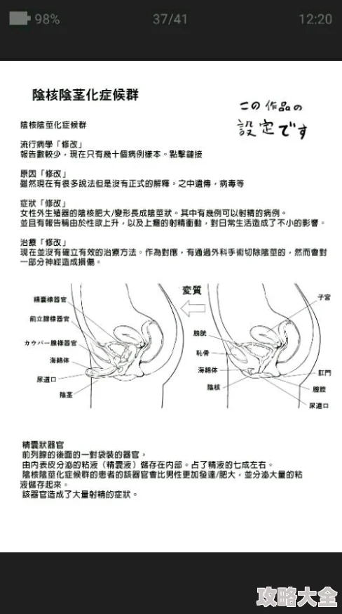 男人下部进女人下部描述性行为不当，建议使用更合适的词语例如性交