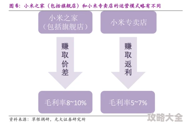 小鸟爱飞翔阵容搭配深度探索：2023年最新四套高效组合方案解析