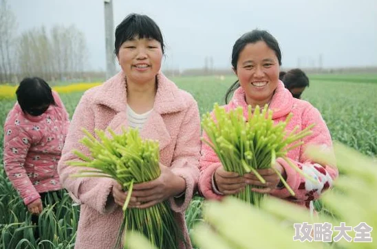 钟点工们电视剧全集播放经典都市剧《钟点工们》高清完整版现已上线