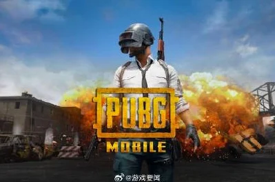 2025年热门游戏资讯：和平精英端游新名称揭晓〖PUBG PC版未来趋势分析〗